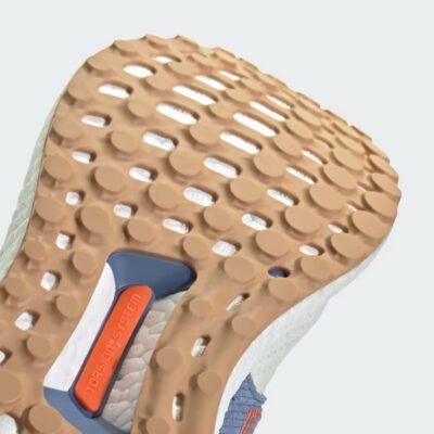 didas Performance Ultraboost 1.0 Ανδρικά Παπούτσια για Τρέξιμο
