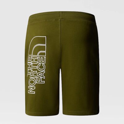 The North Face Graphic Short Ανδρικό Σορτς