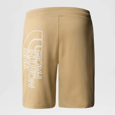 The North Face Graphic Short Ανδρικό Σορτς