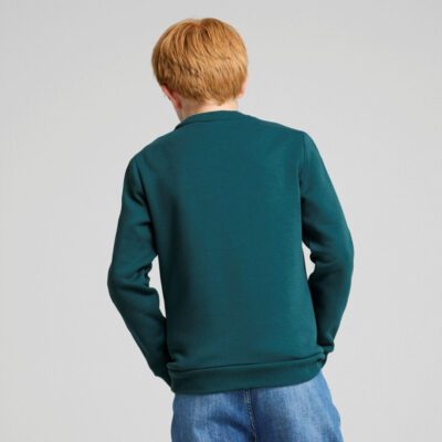 Puma Essentials+ 2 Col Big Logo Crew Παιδικό Φούτερ