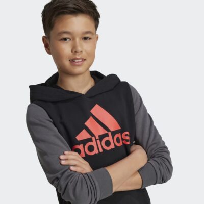 adidas Essentials Big Logo Παιδικό Φούτερ με Κουκούλα