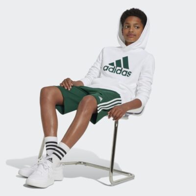 adidas Essentials Big Logo Παιδικό Φούτερ με Κουκούλα