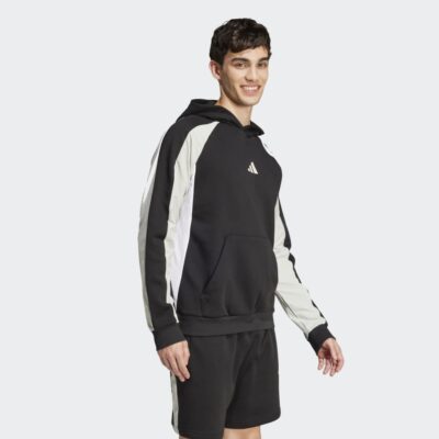 adidas Essentials Colorblock Αντρικό Φούτερ με κουκούλα