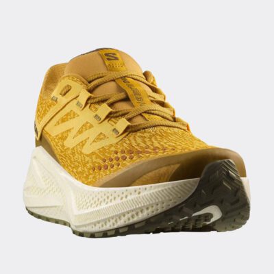 Salomon Aero Glide 3 Gravel Ανδρικά Παπούτσια για Τρέξιμο
