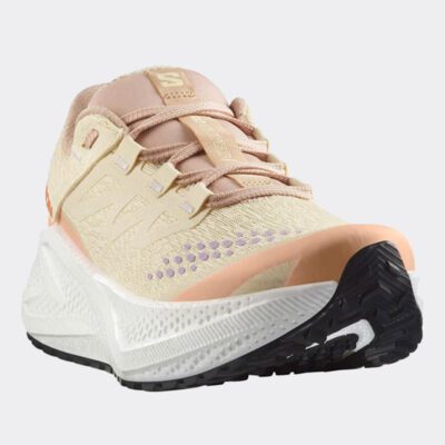 Salomon Aero Glide 3 Gravel Γυναικεία Παπούτσια για Τρέξιμο