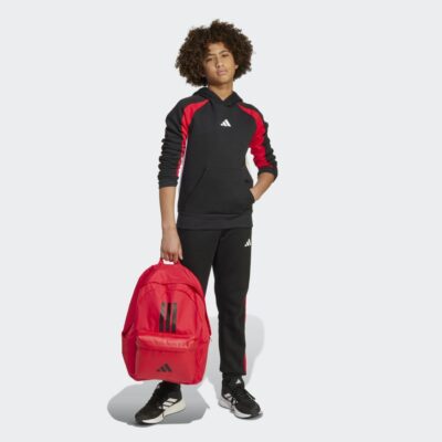 adidas Essentials Colorblock Παιδικό Φούτερ με Κουκούλα