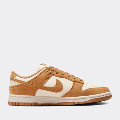 Nike Dunk Low Retro Παπούτσια