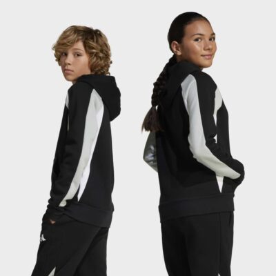 adidas Seasonal Essentials Colorblock Fleece Παιδικό Φούτερ με Κουκούλα