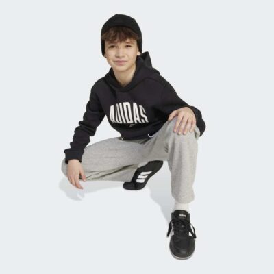 adidas Seasonals Essentials Collegiate Typography Παιδικό Φούτερ με Κουκούλα