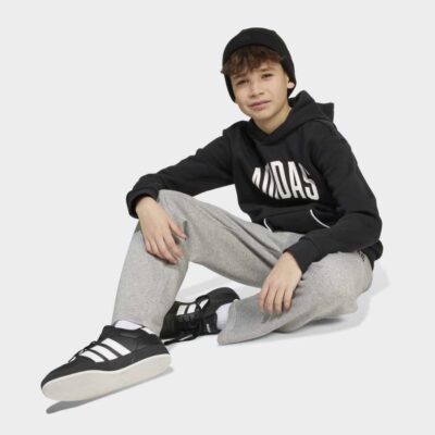 adidas Seasonals Essentials Collegiate Typography Παιδικό Φούτερ με Κουκούλα