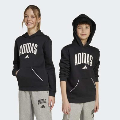 adidas Seasonals Essentials Collegiate Typography Παιδικό Φούτερ με Κουκούλα