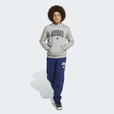 adidas Seasonals Essentials Collegiate Typography Παιδικό Φούτερ με Κουκούλα