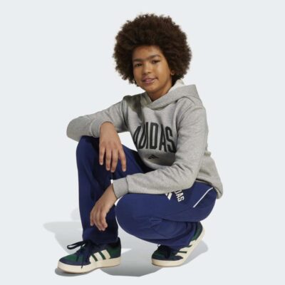 adidas Seasonals Essentials Collegiate Typography Παιδικό Φούτερ με Κουκούλα