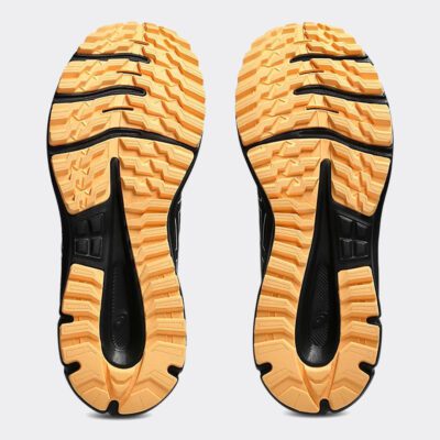 Asics Trail Scout 3 Ανδρικά Παπούτσια για Trail Τρέξιμο