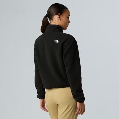 The North Face Glacier 1/2 Zip Γυναικείο Fleece
