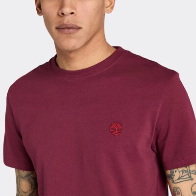 Timberland Dunstan River Ανδρικό T-Shirt
