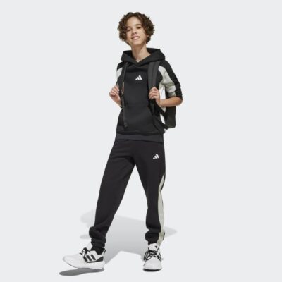 adidas Seasonal Essentials Colorblock Παιδικό Παντελόνι Φόρμας