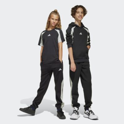 adidas Seasonal Essentials Colorblock Παιδικό Παντελόνι Φόρμας