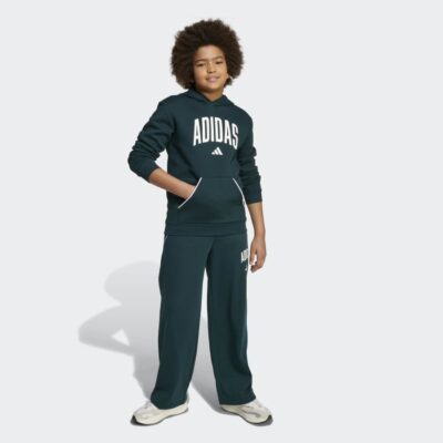 adidas Seasonals Essentials Collegiate Typography Παιδικό Φούτερ με Κουκούλα