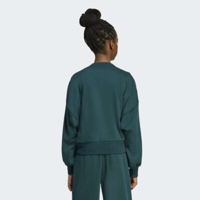 adidas Seasonals Essentials Collegiate Typography Crewneck Παιδικό Φούτερ