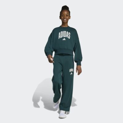 adidas Seasonals Essentials Collegiate Typography Crewneck Παιδικό Φούτερ