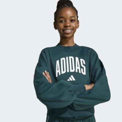 adidas Seasonals Essentials Collegiate Typography Crewneck Παιδικό Φούτερ