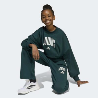 adidas Seasonals Essentials Collegiate Typography Crewneck Παιδικό Φούτερ