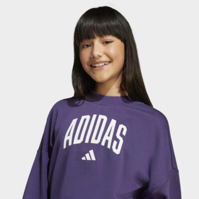 adidas Seasonals Essentials Collegiate Typography Crewneck Παιδικό Φούτερ