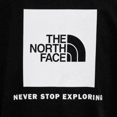 The North Face Evolution Box NSE Relaxed Γυναικείο T-Shirt