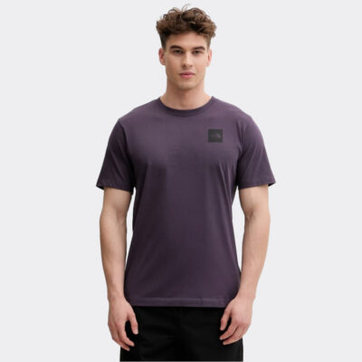 The North Face Evolution Box Half Dome Regular Ανδρικό T-Shirt (NF0A8G9CG5O1)