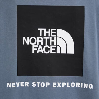 The North Face Evolution Box NSE Relaxed Γυναικείο T-Shirt