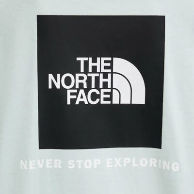 The North Face Evolution Box NSE Relaxed Γυναικείο T-Shirt