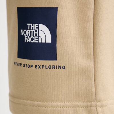 The North Face BOX NSE Light Regular Ανδρικό Σορτς