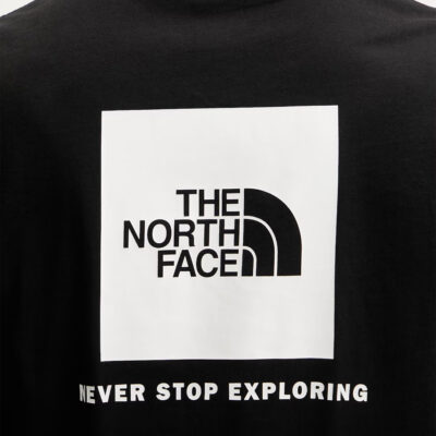 The North Face Evolution Box Nse Regular Ανδρικό T-Shirt