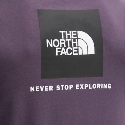 The North Face Evolution Box Nse Regular Ανδρικό T-Shirt