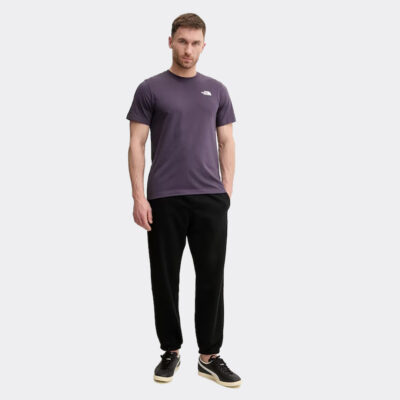 The North Face Evolution Box Nse Regular Ανδρικό T-Shirt
