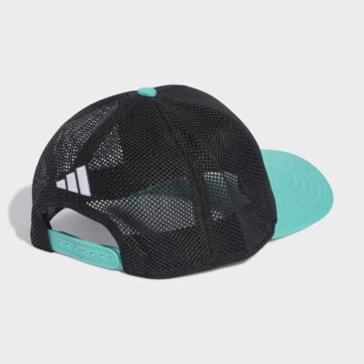 adidas Mercedes - AMG Petronas Formula 1 Team DNA