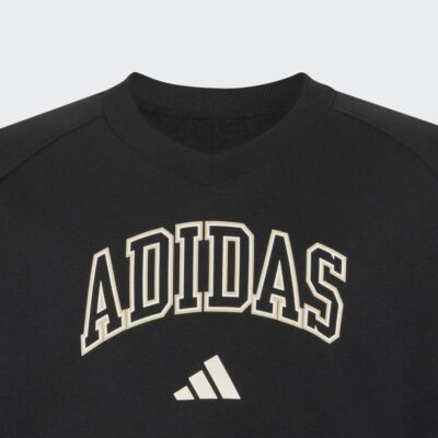 adidas Seasonals Collegiate Typography V-neck Junior Girls Sweatshirt Παιδικό Φούτερ