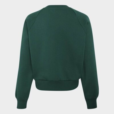 adidas Seasonals Collegiate Typography V-neck Junior Girls Sweatshirt Παιδικό Φούτερ