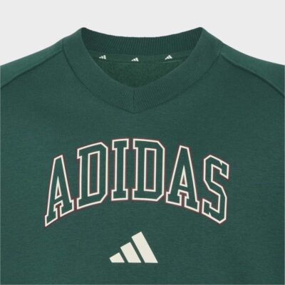 adidas Seasonals Collegiate Typography V-neck Junior Girls Sweatshirt Παιδικό Φούτερ