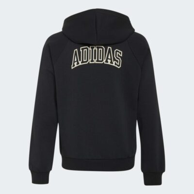 adidas Παιδικό hoodie Seasonals Seasonals Collegiate Typography με φερμουάρ σε όλο το μήκος