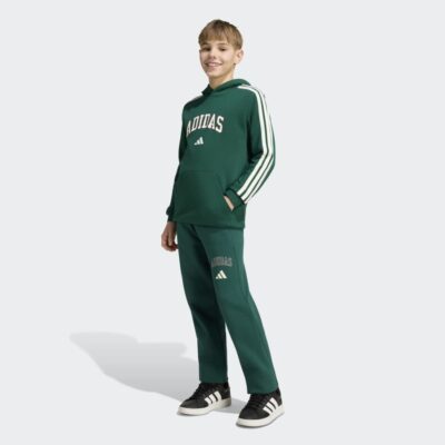 adidas Codes Collegiate Graphic Παιδικό Φούτερ με Κουκούλα