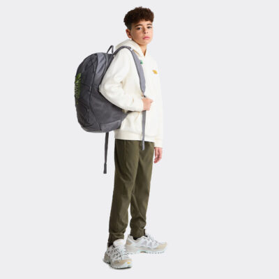 The North Face Court Jester Smoked Pearl/Sport Moss Backpack