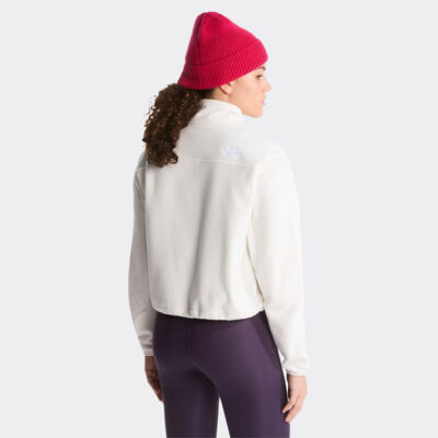 The North Face Novelty Logo Glacier 1/4 Zip Γυναικείο Fleece