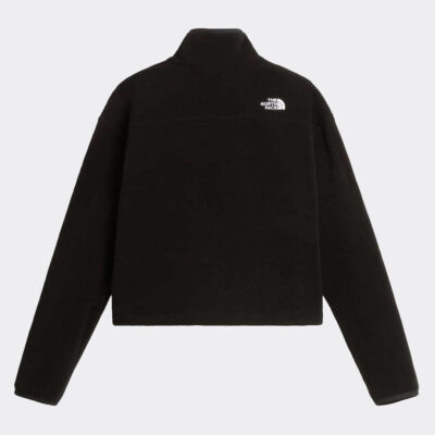 The North Face Novelty Logo Glacier 1/4 Zip Γυναικείο Fleece